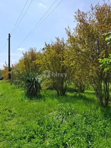 Torpaq, Ağdaş, Ağdaş r.