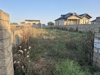 Torpaq, Binə q.