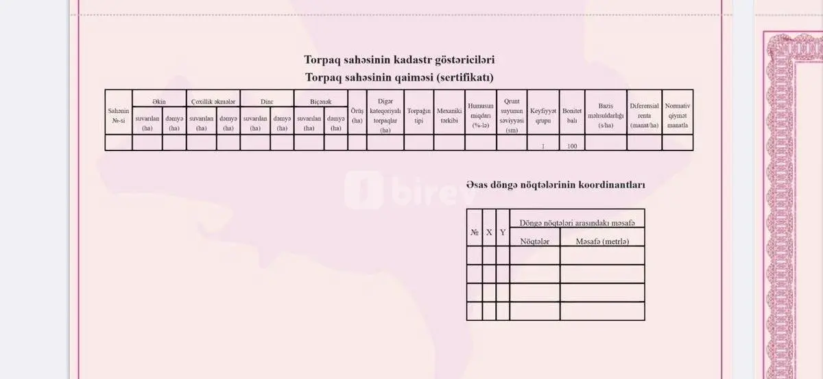 Torpaq, Qobu q., Qobu qəs., Abşeron rayonu — şəkil 5