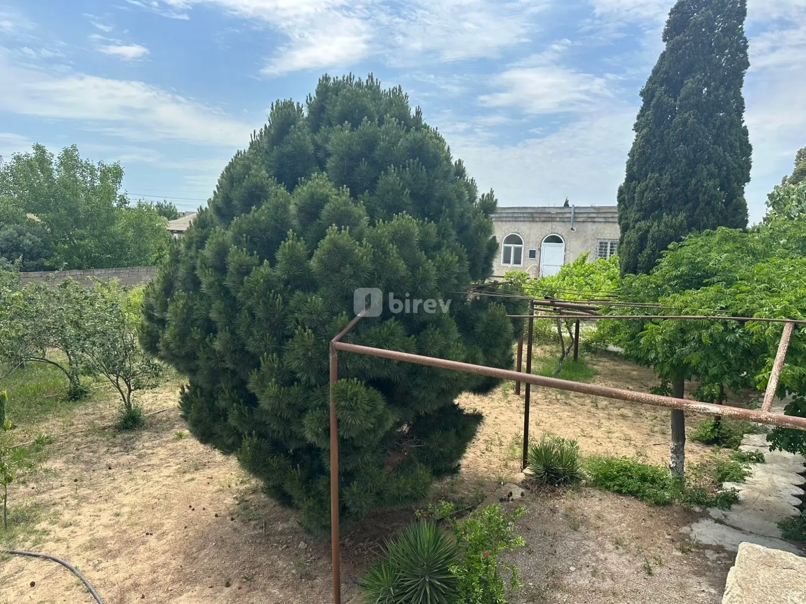 Torpaq, Dübəndi q., Dübəndi bağları, Xəzər rayonu — şəkil 5