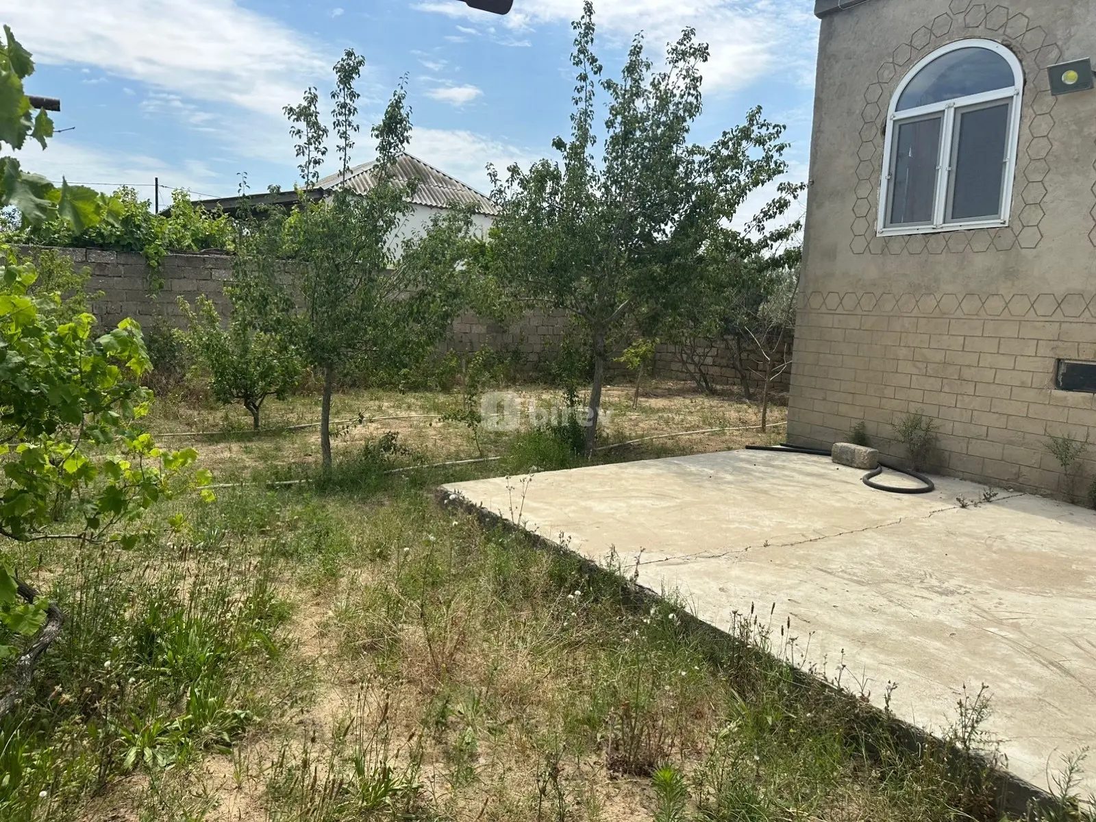 Torpaq, Dübəndi q., Dübəndi bağları, Xəzər rayonu — şəkil 7