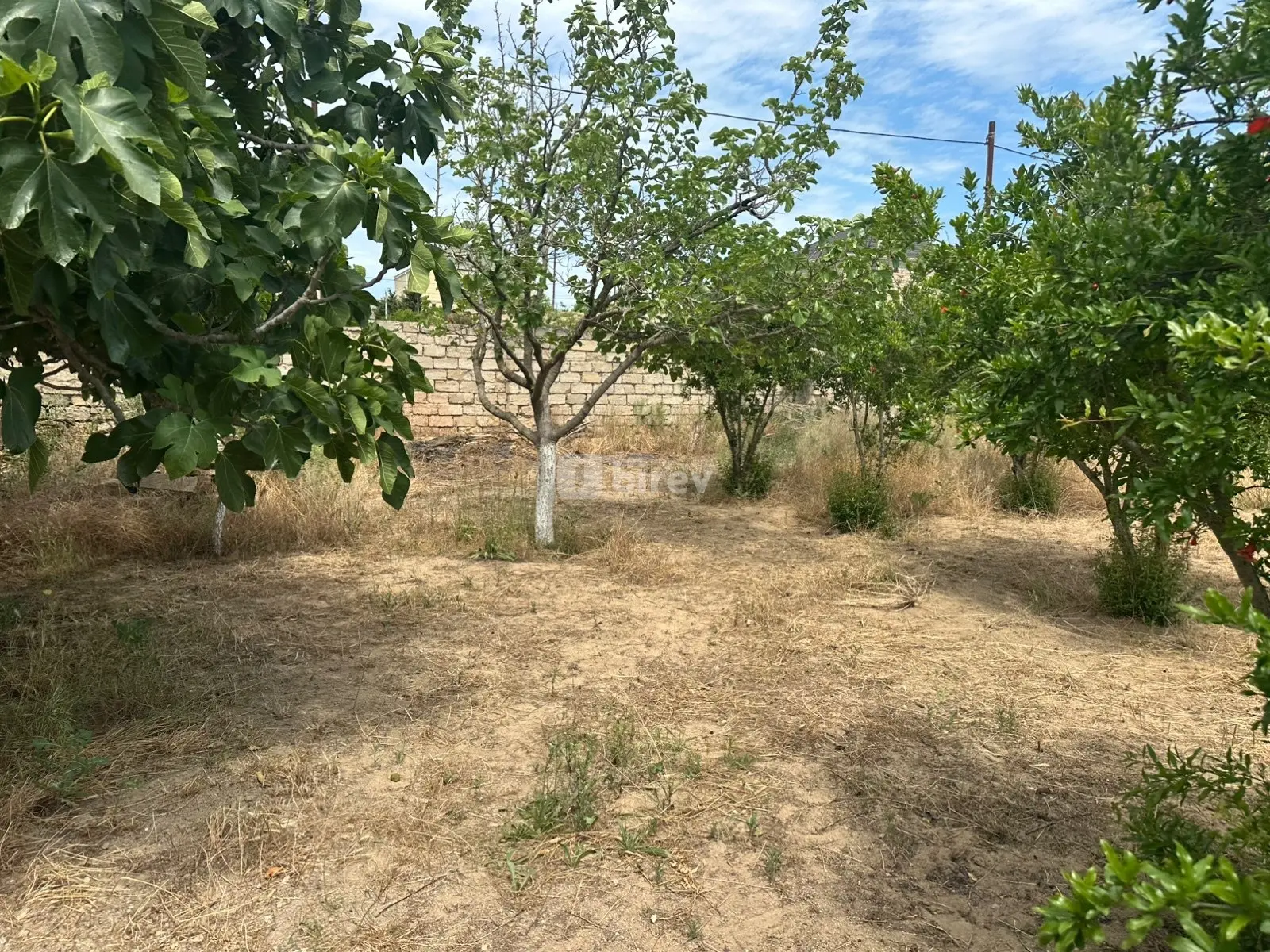 Torpaq, Dübəndi q., Dübəndi bağları, Xəzər rayonu — şəkil 10