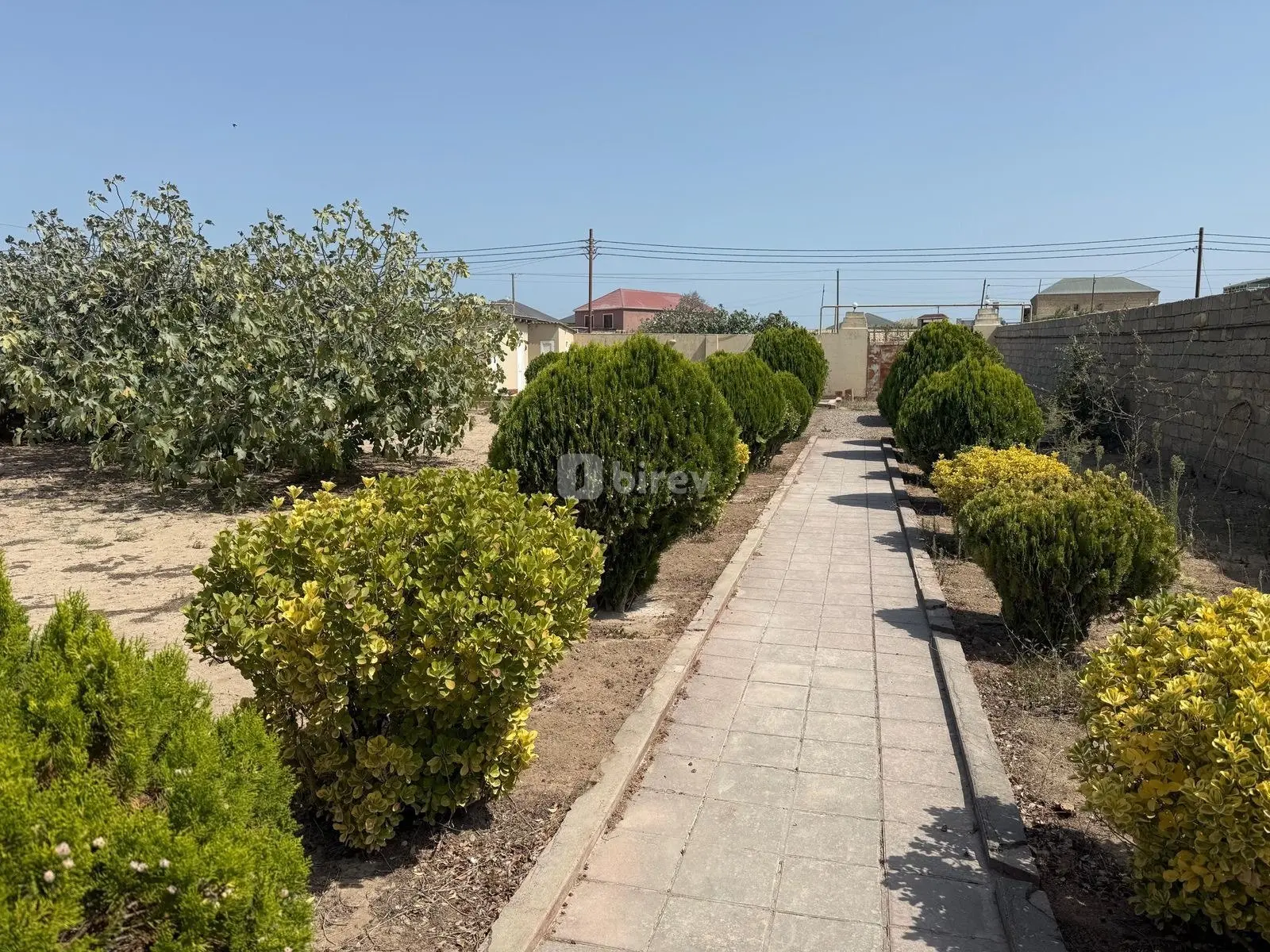 Torpaq, Nardaran q., Ləhic bağları, Sabunçu rayonu — şəkil 2