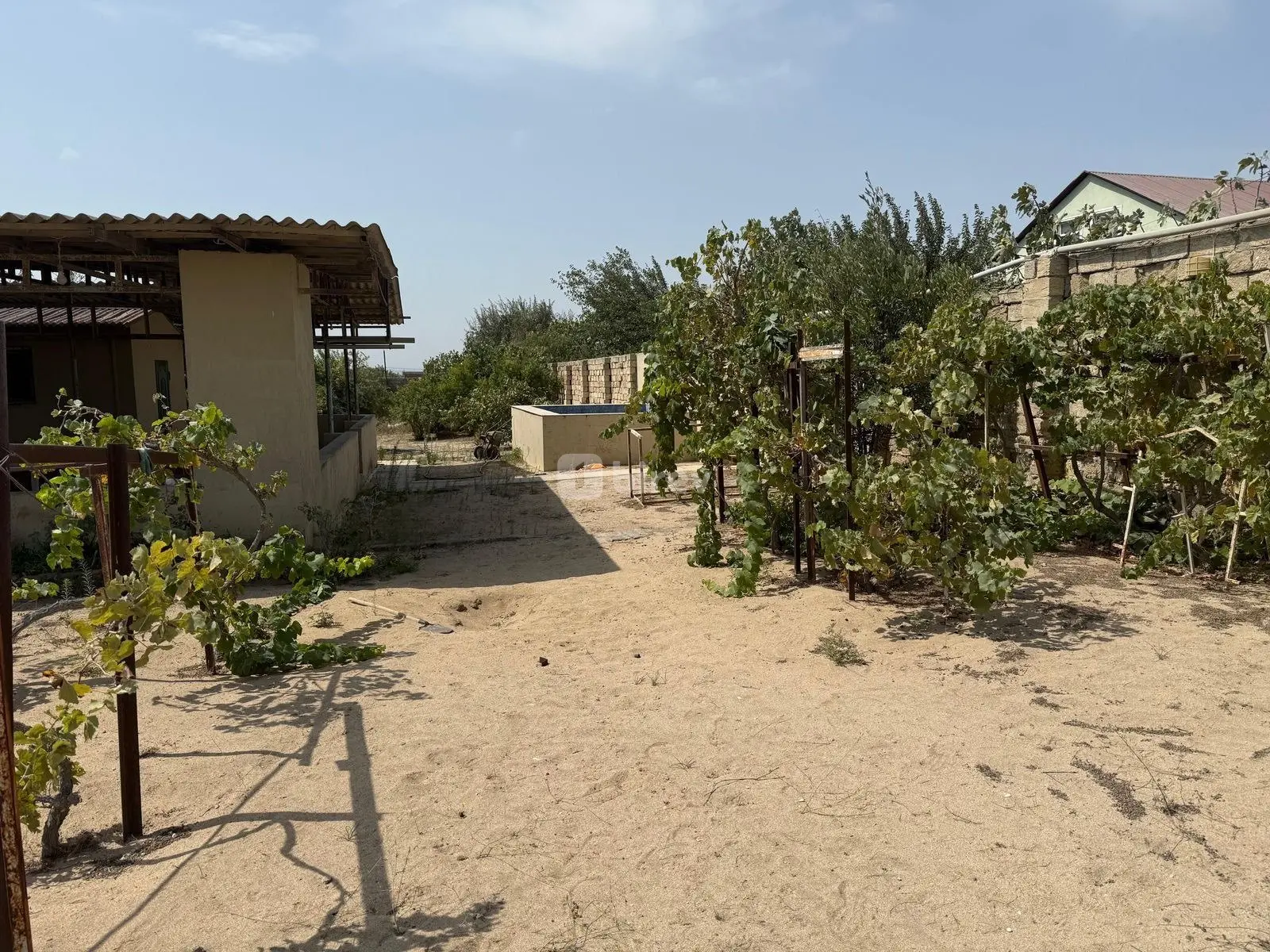 Torpaq, Nardaran q., Ləhic bağları, Sabunçu rayonu — şəkil 4
