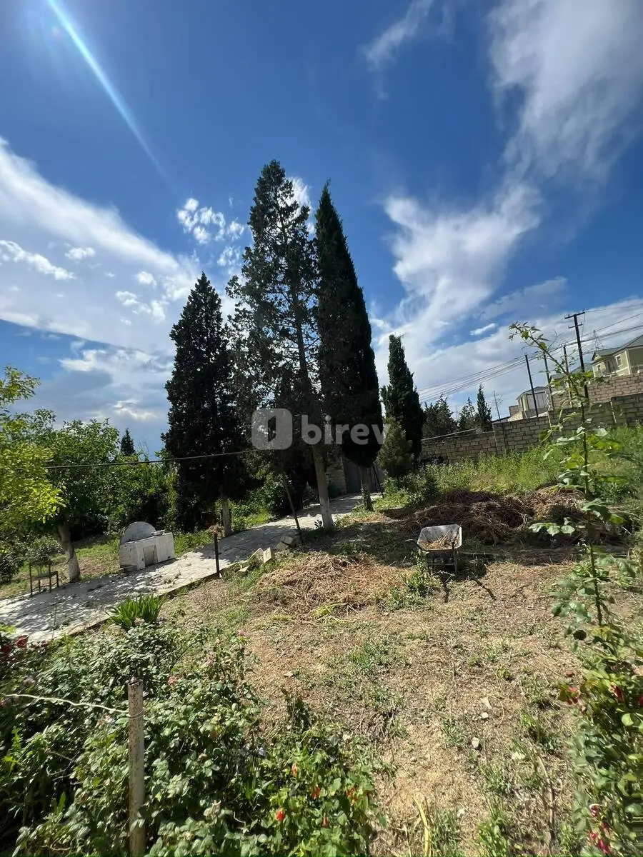 Torpaq, Saray q., Saray qəsəbəsi, Abşeron rayonu — şəkil 1