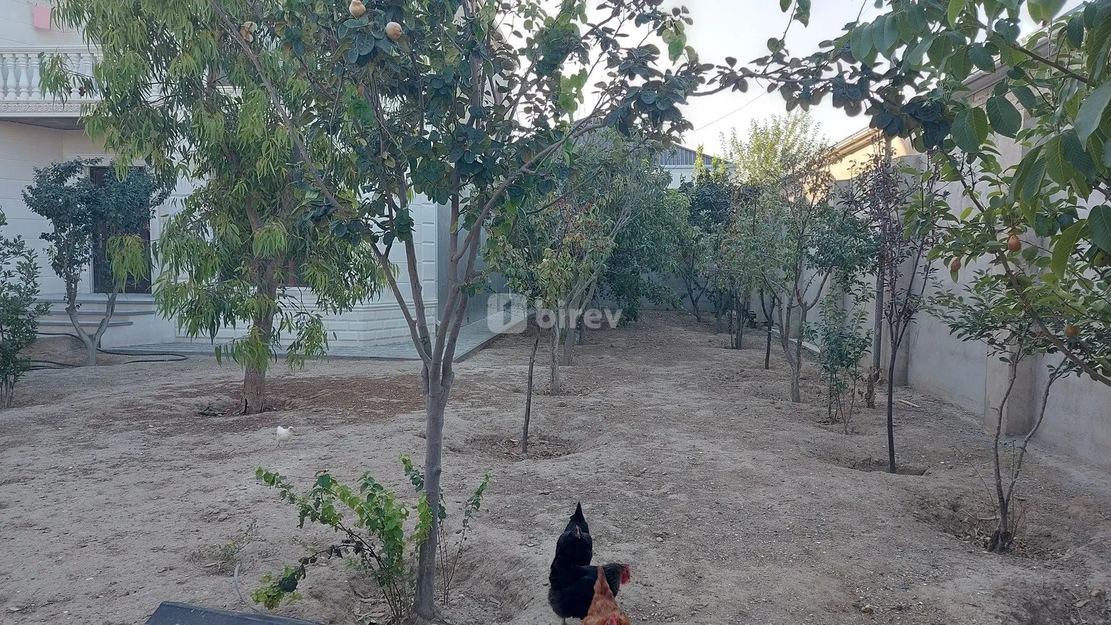 6 otaqlı ev / villa, Yeni Ramana q., Şuşa Şəhərciyi, Sabunçu rayonu — şəkil 12