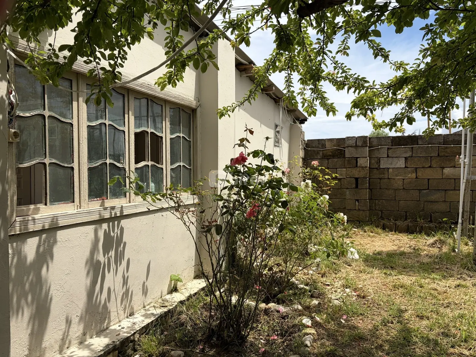 5 otaqlı ev / villa, Nabran, Xaçmaz rayonu, Xaçmaz rayonu — şəkil 6