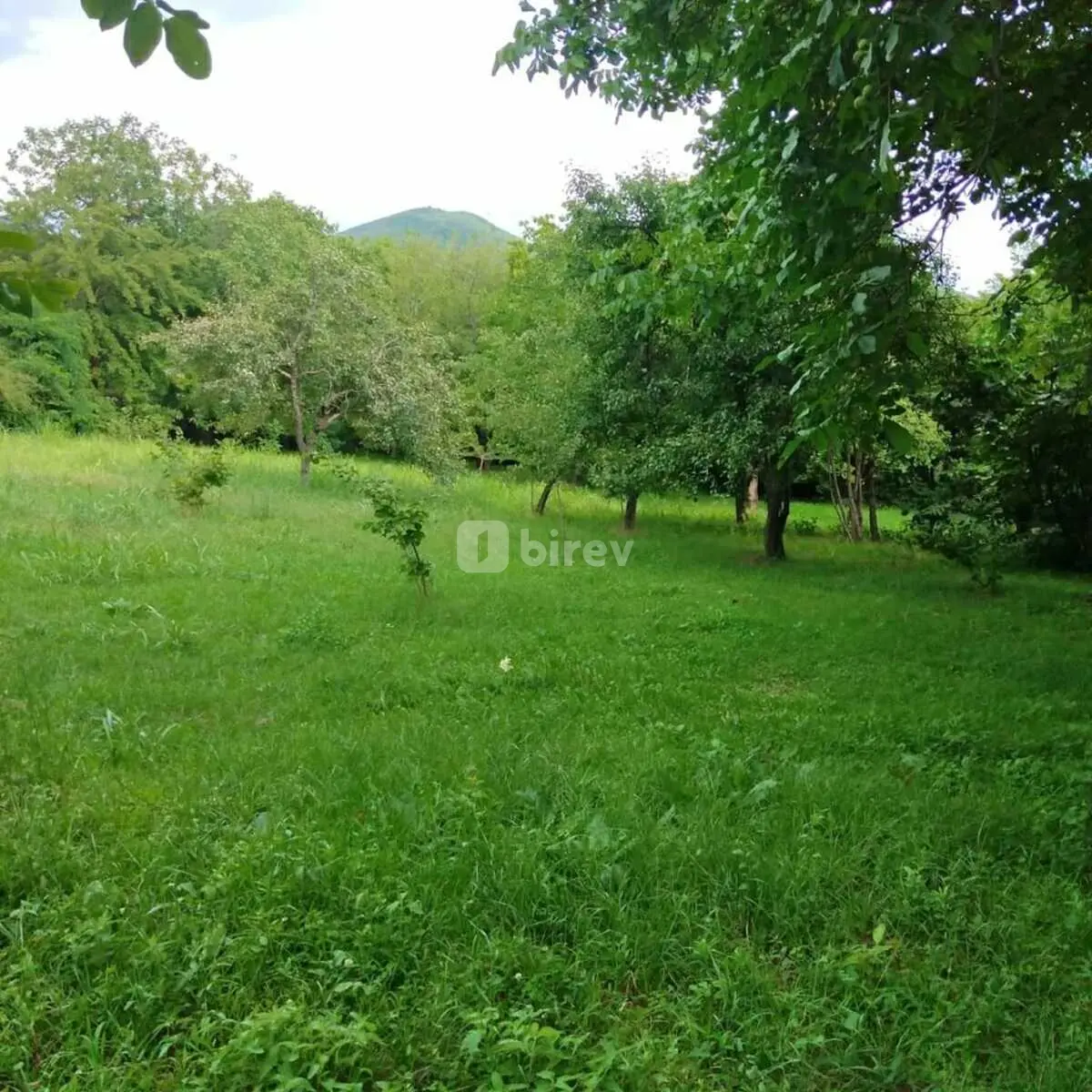 6 otaqlı ev / villa, Şəki, Baş Zəyzid kəndi — şəkil 4
