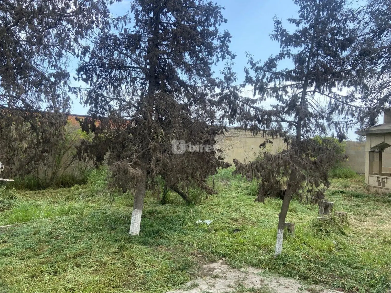 9.2 sot torpaq, Mərdəkan q., Mərdəkan qəsəbəsi, Xəzər rayonu — şəkil 6