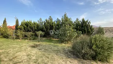 Torpaq, Albalılıq q.