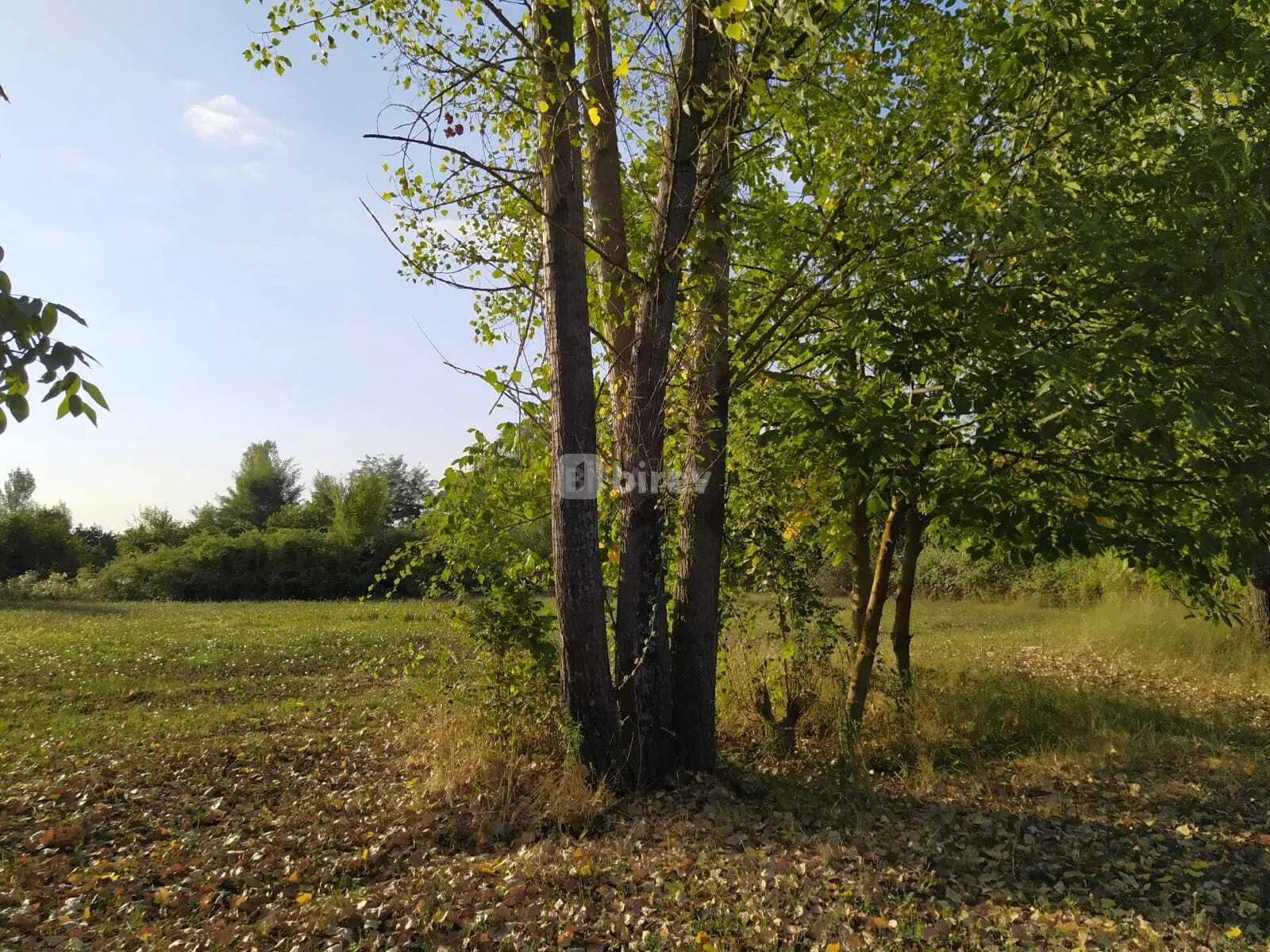 28 sot torpaq, Qəbələ rayonu, Mirzəbəyli kəndi — şəkil 5