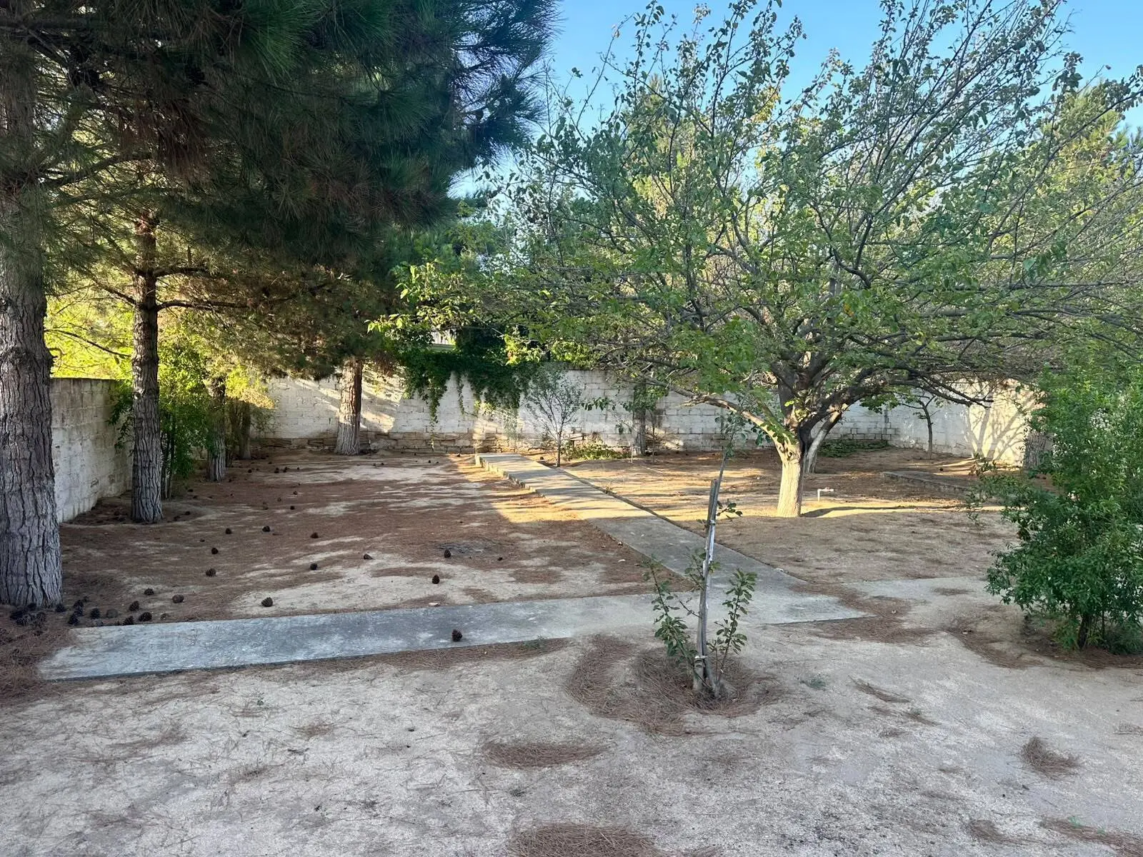 3 sot torpaq, Görədil q., Görədil qəs., Abşeron rayonu — şəkil 2