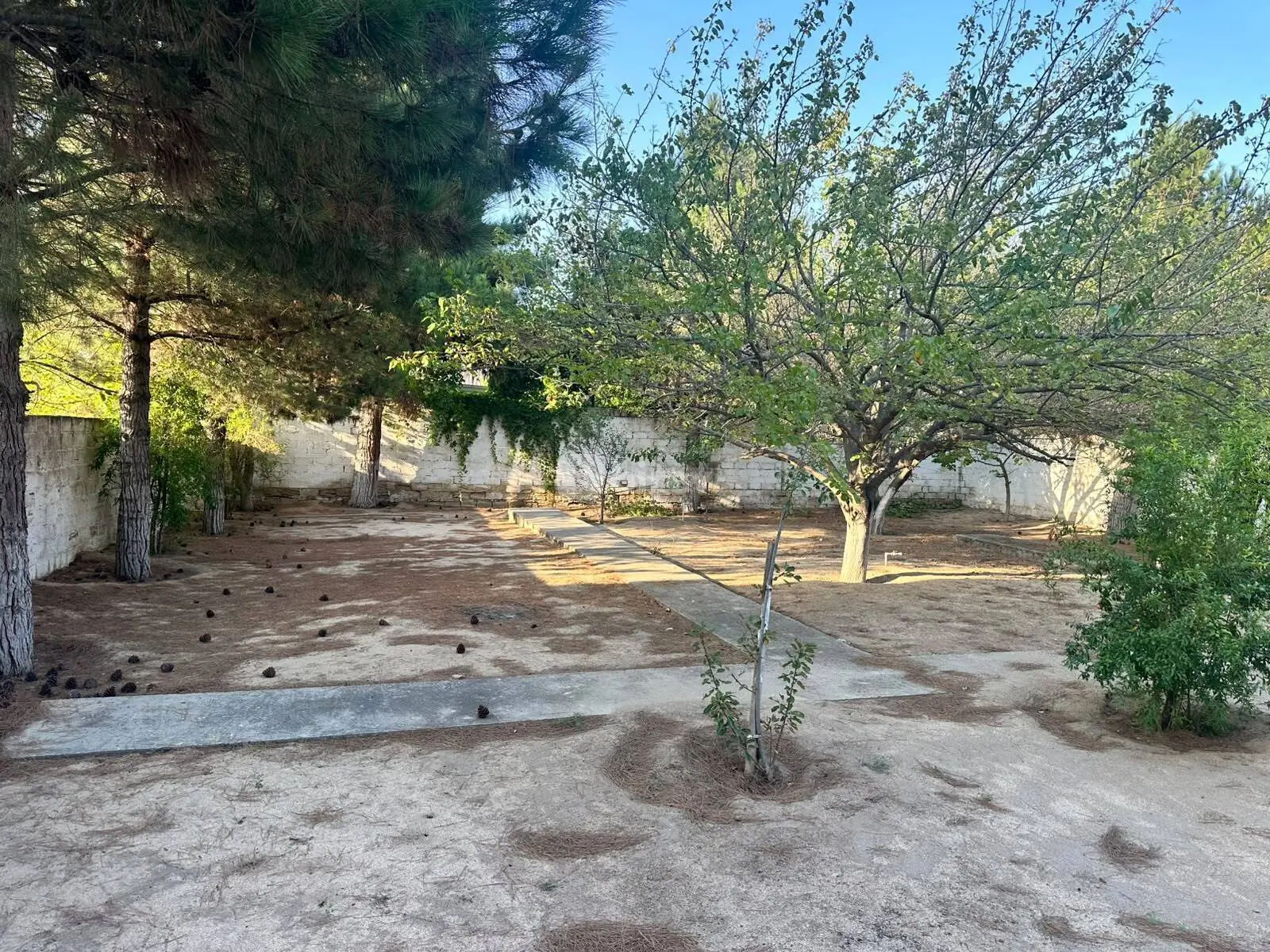 3 sot torpaq, Görədil q., Görədil qəs., Abşeron rayonu — şəkil 5