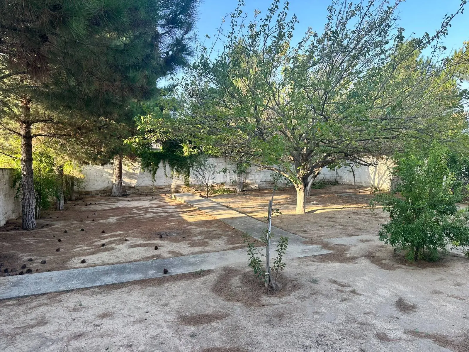 3 sot torpaq, Görədil q., Görədil qəs., Abşeron rayonu — şəkil 7