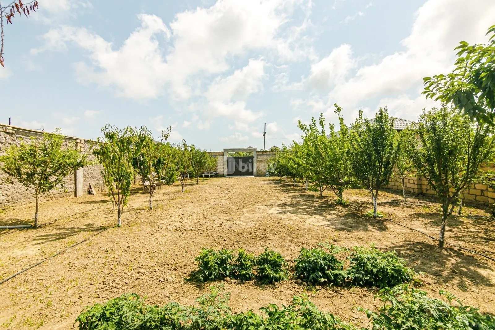 6 otaqlı həyət evi, Fatmayı q., Fatmayı Bağları, Abşeron rayonu — şəkil 7