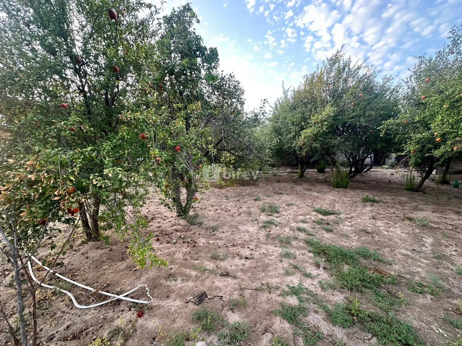 2 sot torpaq, Novxanı q., Novxanı bağları, Abşeron rayonu — şəkil 6