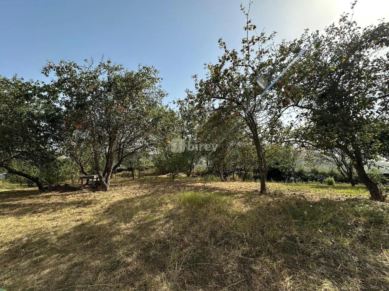 5 otaqlı həyət evi, İsmayıllı rayonu, Tircan kəndi — şəkil 13