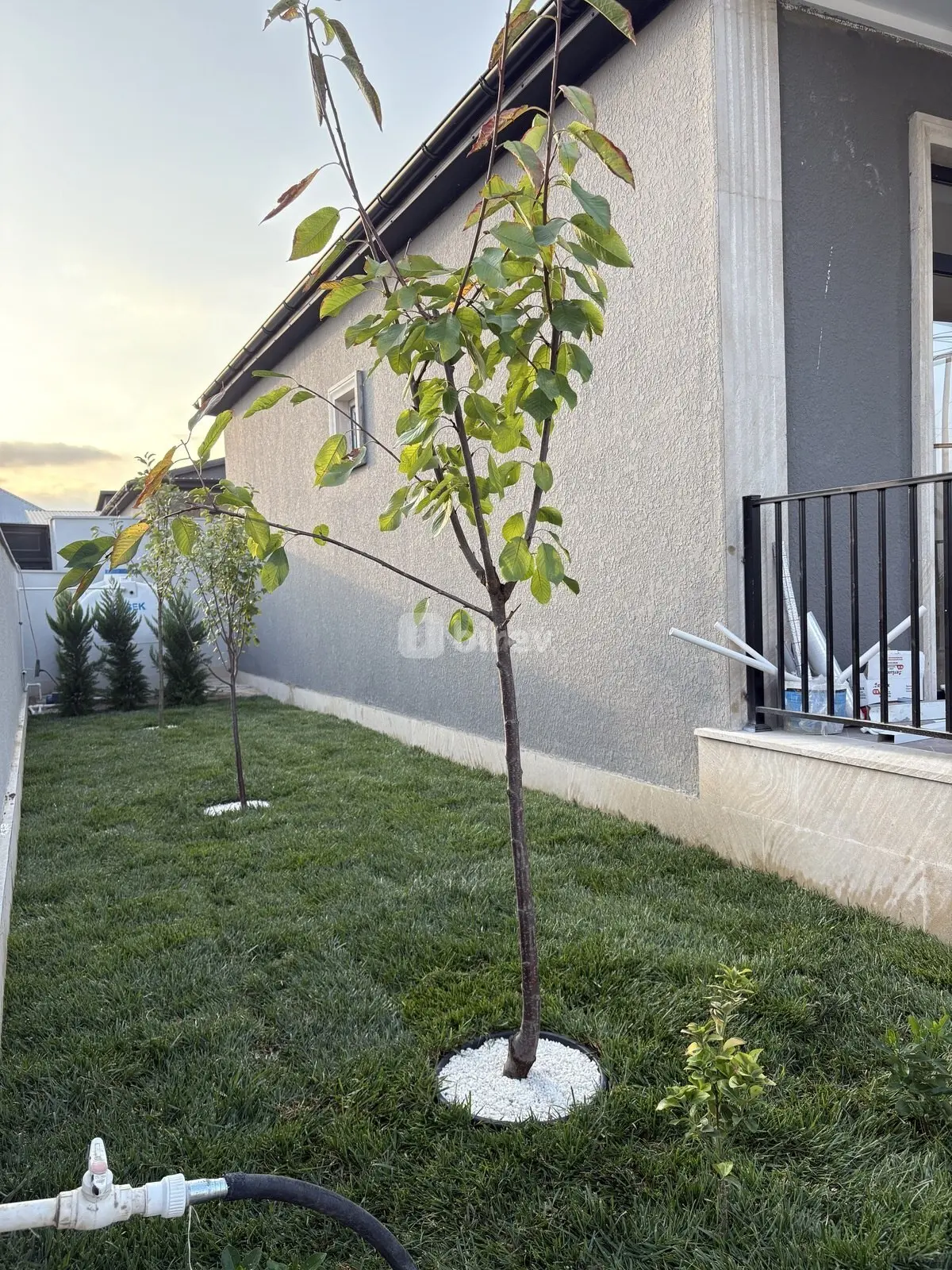 4 otaqlı həyət evi, Mehdiabad q., Əhməd Cavad küç 11, Abşeron rayonu — şəkil 5