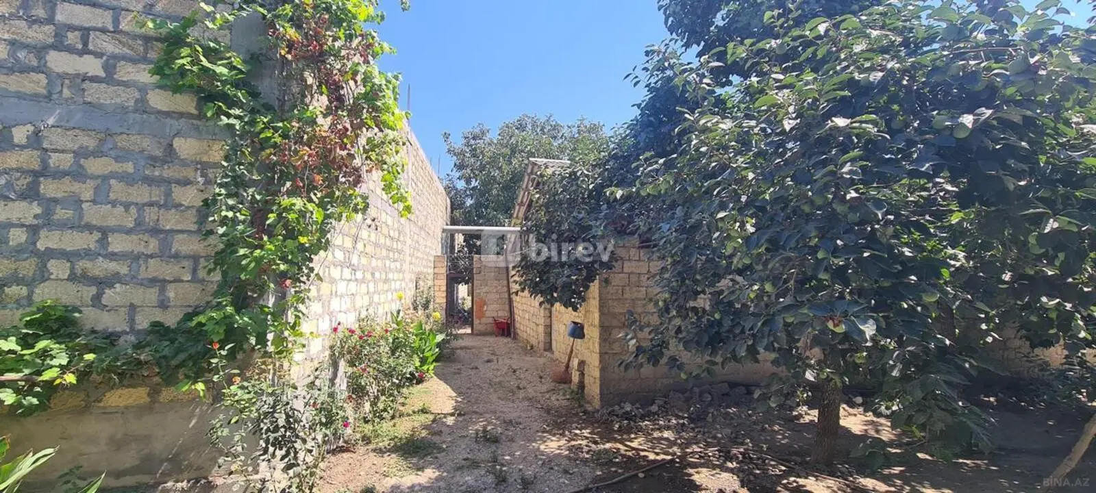 3 otaqlı həyət evi, İsmayıllı rayonu, Kürtmaşi kəndi — şəkil 1