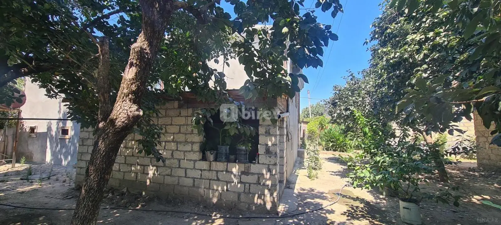 3 otaqlı həyət evi, İsmayıllı rayonu, Kürtmaşi kəndi — şəkil 3