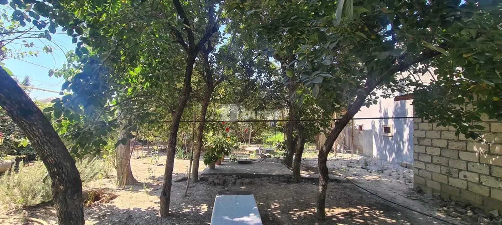 3 otaqlı həyət evi, İsmayıllı rayonu, Kürtmaşi kəndi — şəkil 5