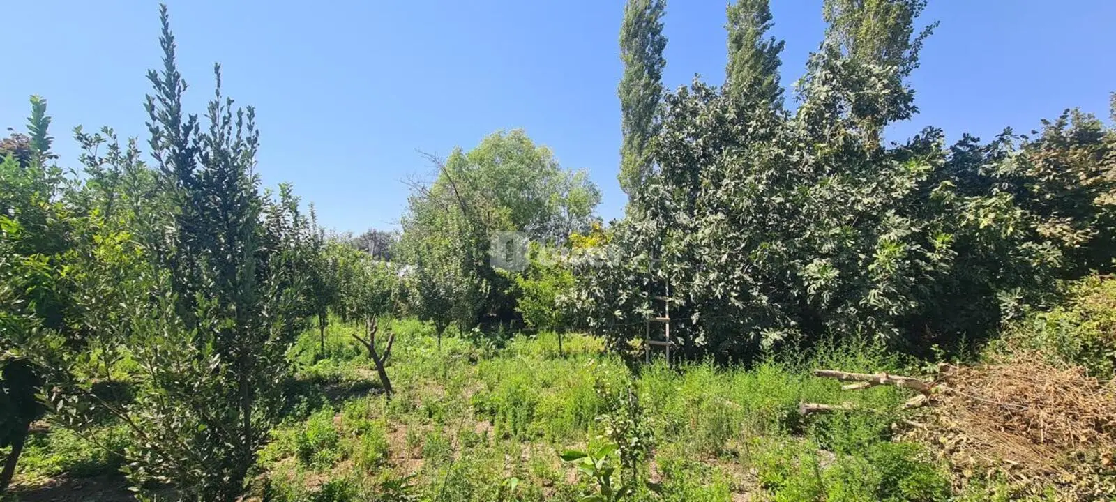 3 otaqlı həyət evi, İsmayıllı rayonu, Kürtmaşi kəndi — şəkil 10