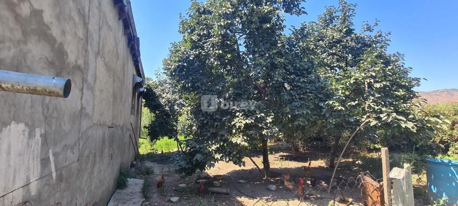 3 otaqlı həyət evi, İsmayıllı rayonu, Kürtmaşi kəndi — şəkil 11