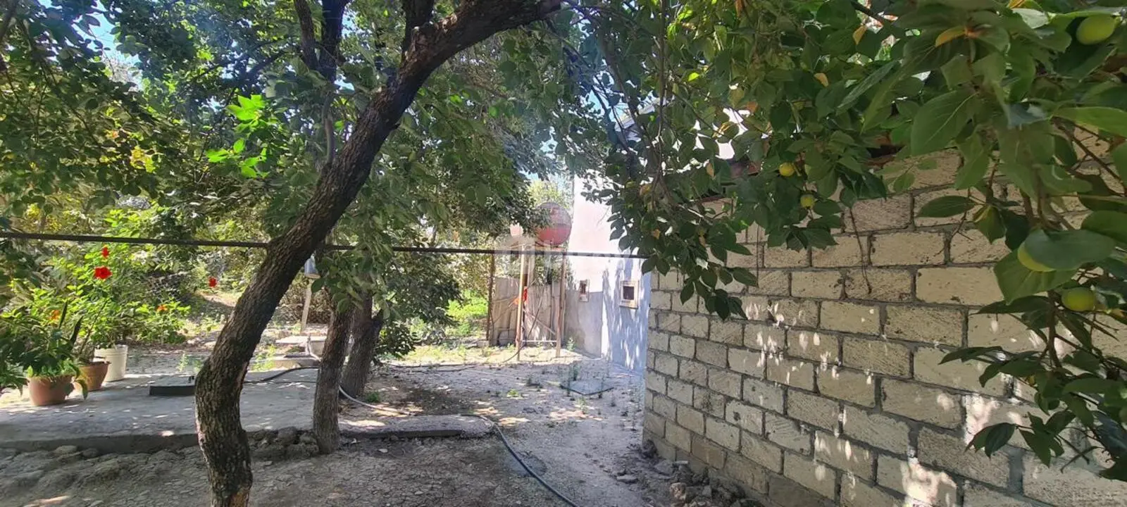 3 otaqlı həyət evi, İsmayıllı rayonu, Kürtmaşi kəndi — şəkil 15