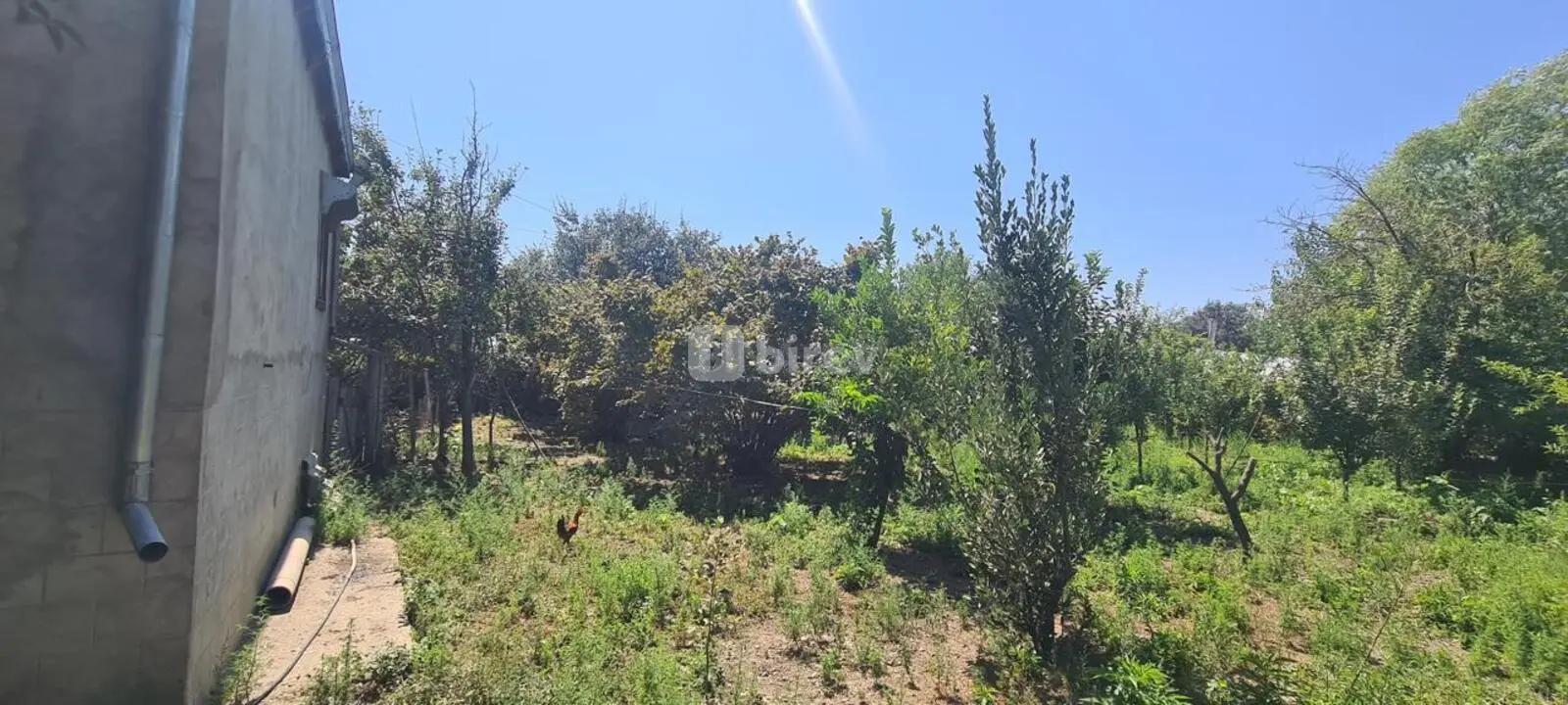 3 otaqlı həyət evi, İsmayıllı rayonu, Kürtmaşi kəndi — şəkil 19