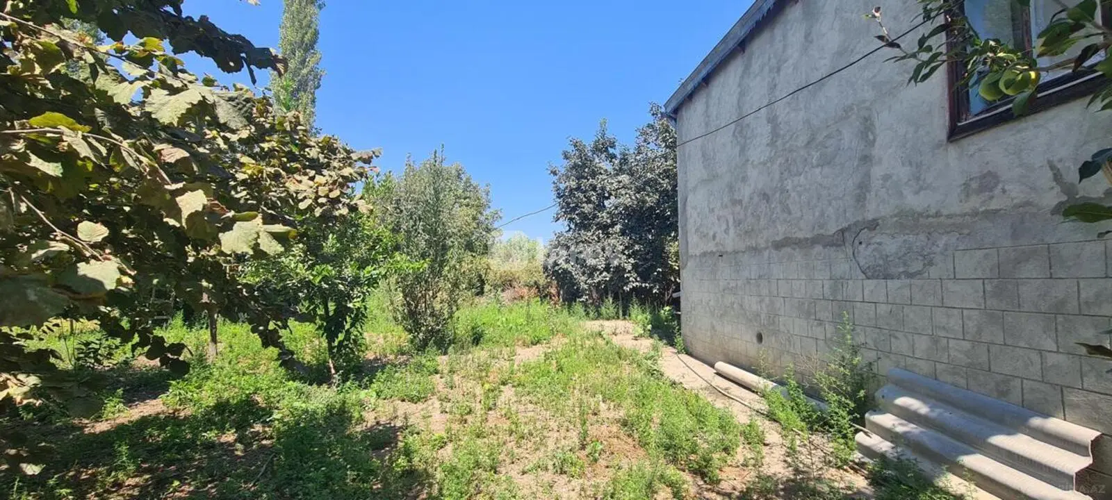 3 otaqlı həyət evi, İsmayıllı rayonu, Kürtmaşi kəndi — şəkil 21