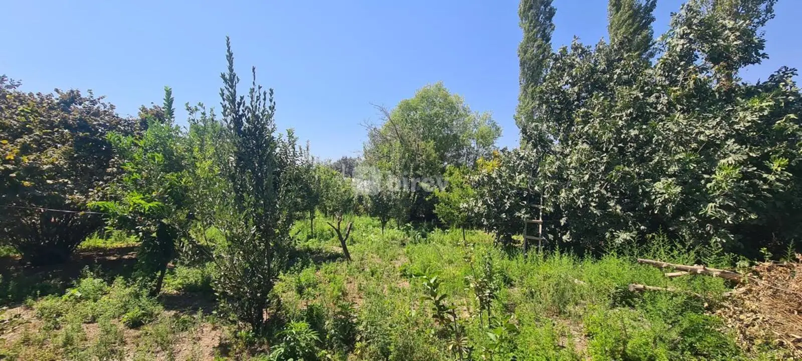 3 otaqlı həyət evi, İsmayıllı rayonu, Kürtmaşi kəndi — şəkil 24