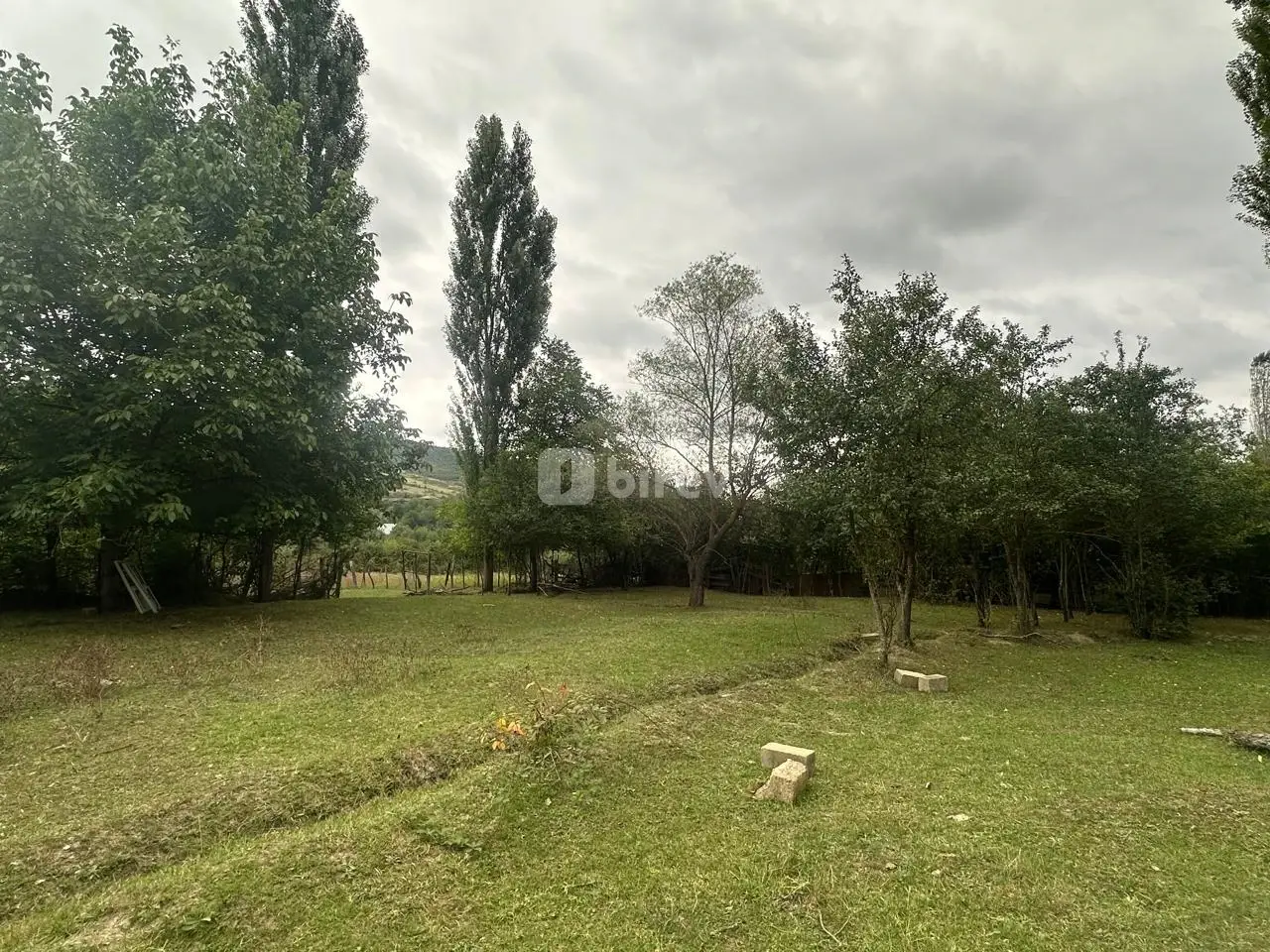 4500 sot torpaq, Quba rayonu, rustov kəndi, Quba rayonu — şəkil 3