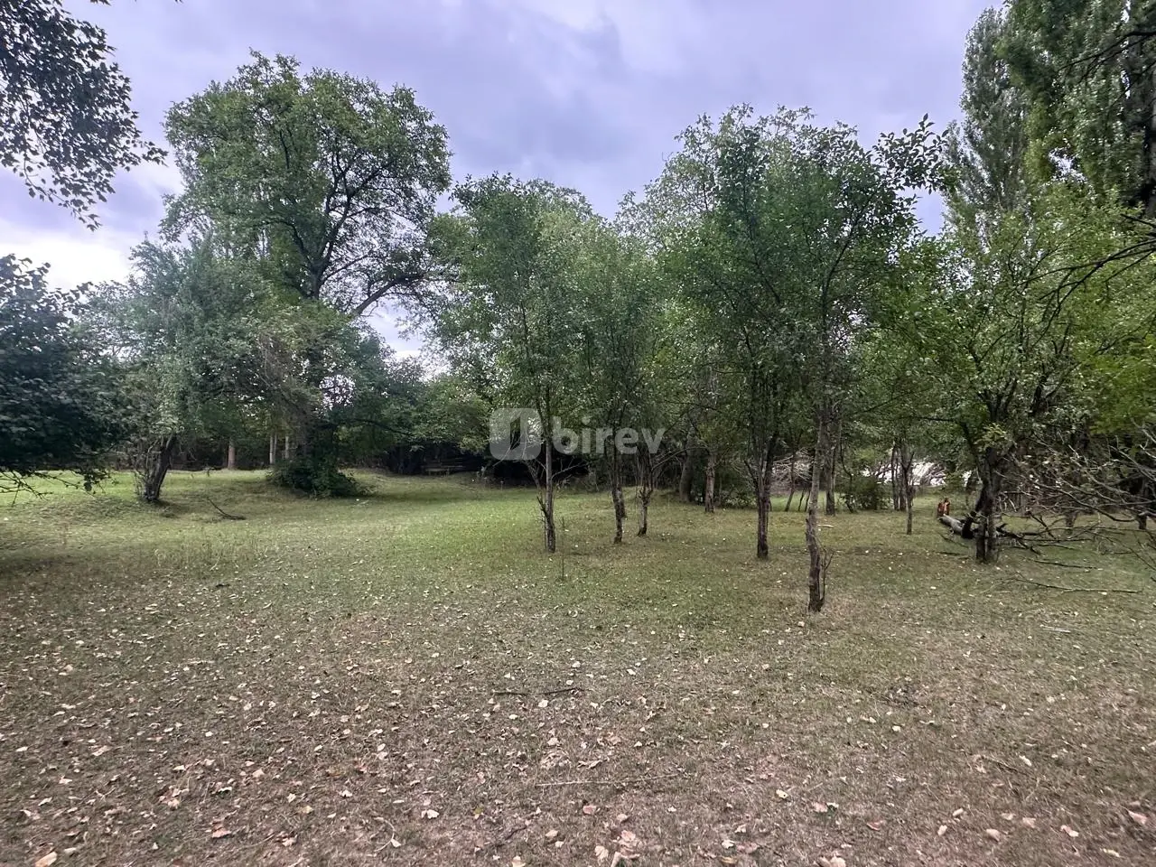 4500 sot torpaq, Quba rayonu, rustov kəndi, Quba rayonu — şəkil 8