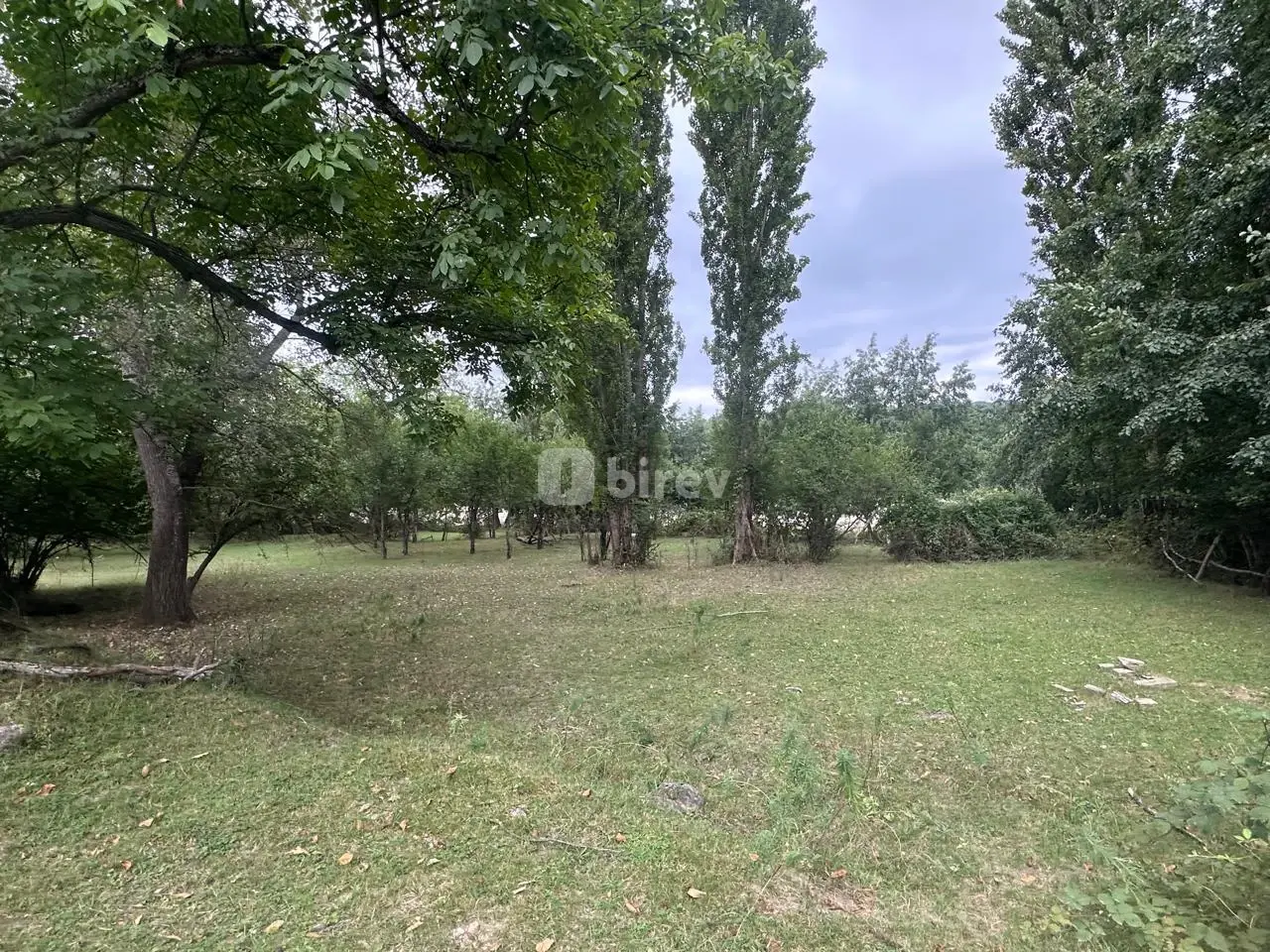 4500 sot torpaq, Quba rayonu, rustov kəndi, Quba rayonu — şəkil 10