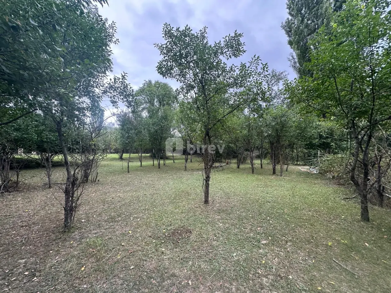 4500 sot torpaq, Quba rayonu, rustov kəndi, Quba rayonu — şəkil 7