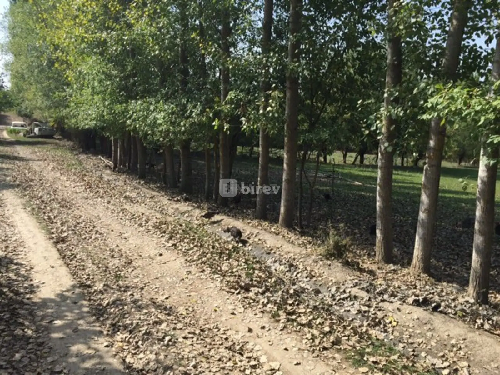 15 sot torpaq, Qusar rayonu, Qusar rayonu — şəkil 5