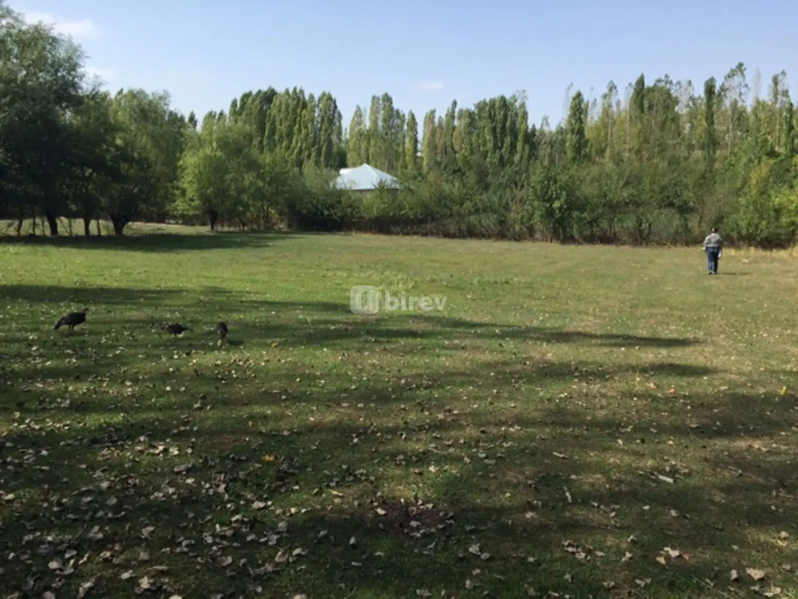 15 sot torpaq, Qusar rayonu, Qusar rayonu — şəkil 6