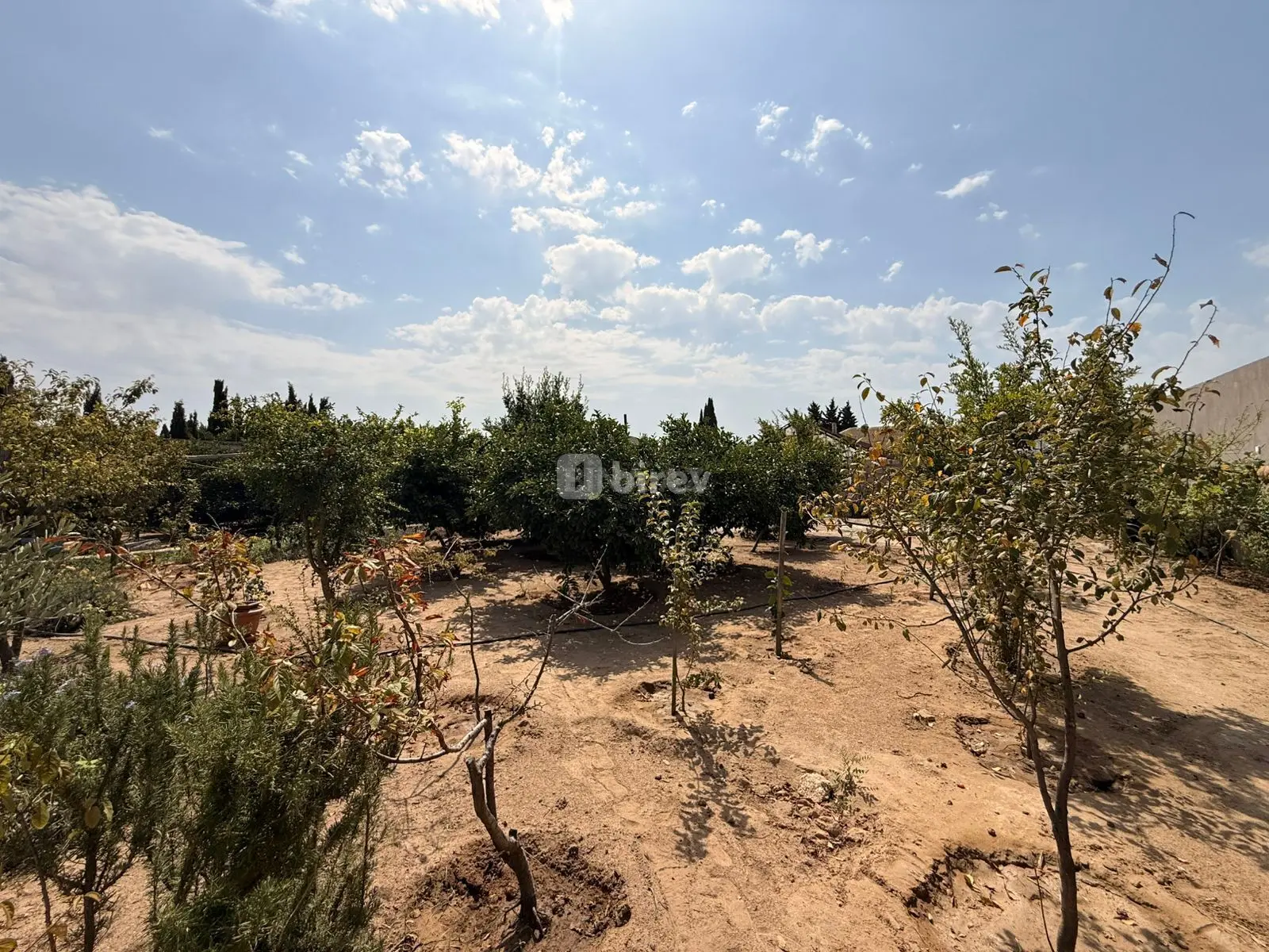 5 sot torpaq, Şüvəlan q., Şüvəlan qəsəbəsi, Xəzər rayonu — şəkil 5