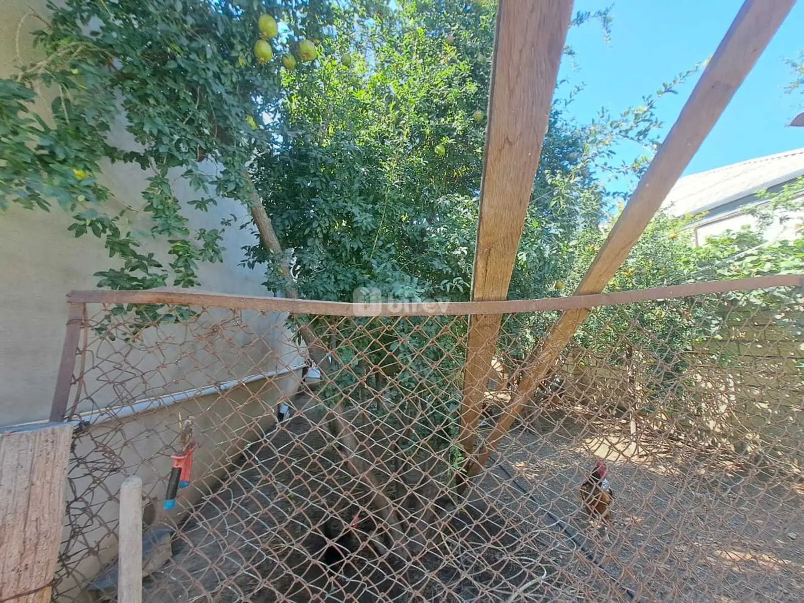 4 otaqlı həyət evi, Biləcəri q., Biləcəri qəs., Binəqədi rayonu — şəkil 11
