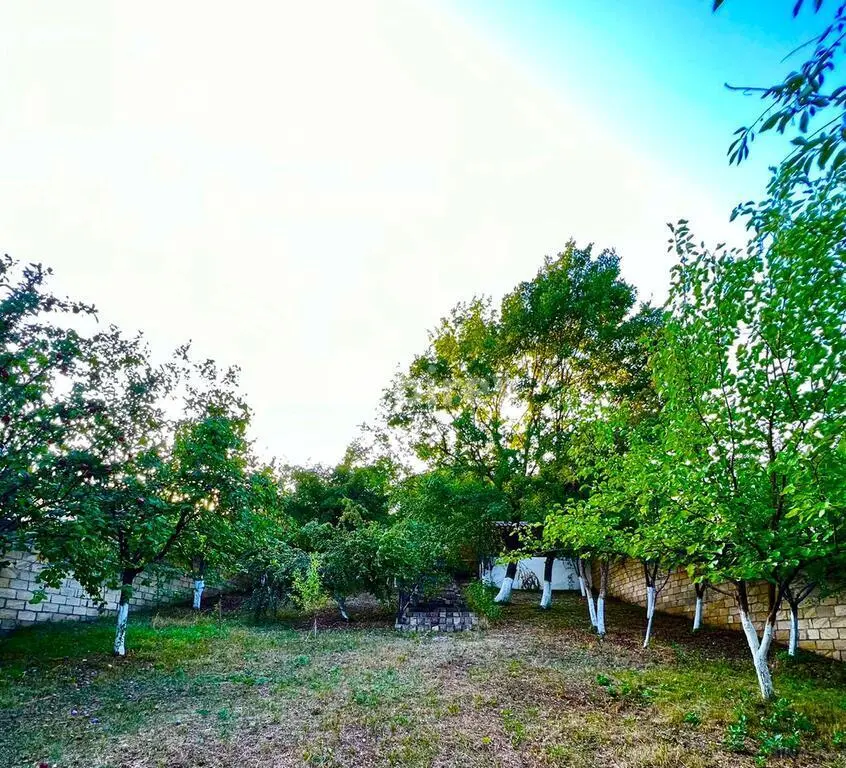 4 otaqlı həyət evi, Quba rayonu, Quba Palace — şəkil 21