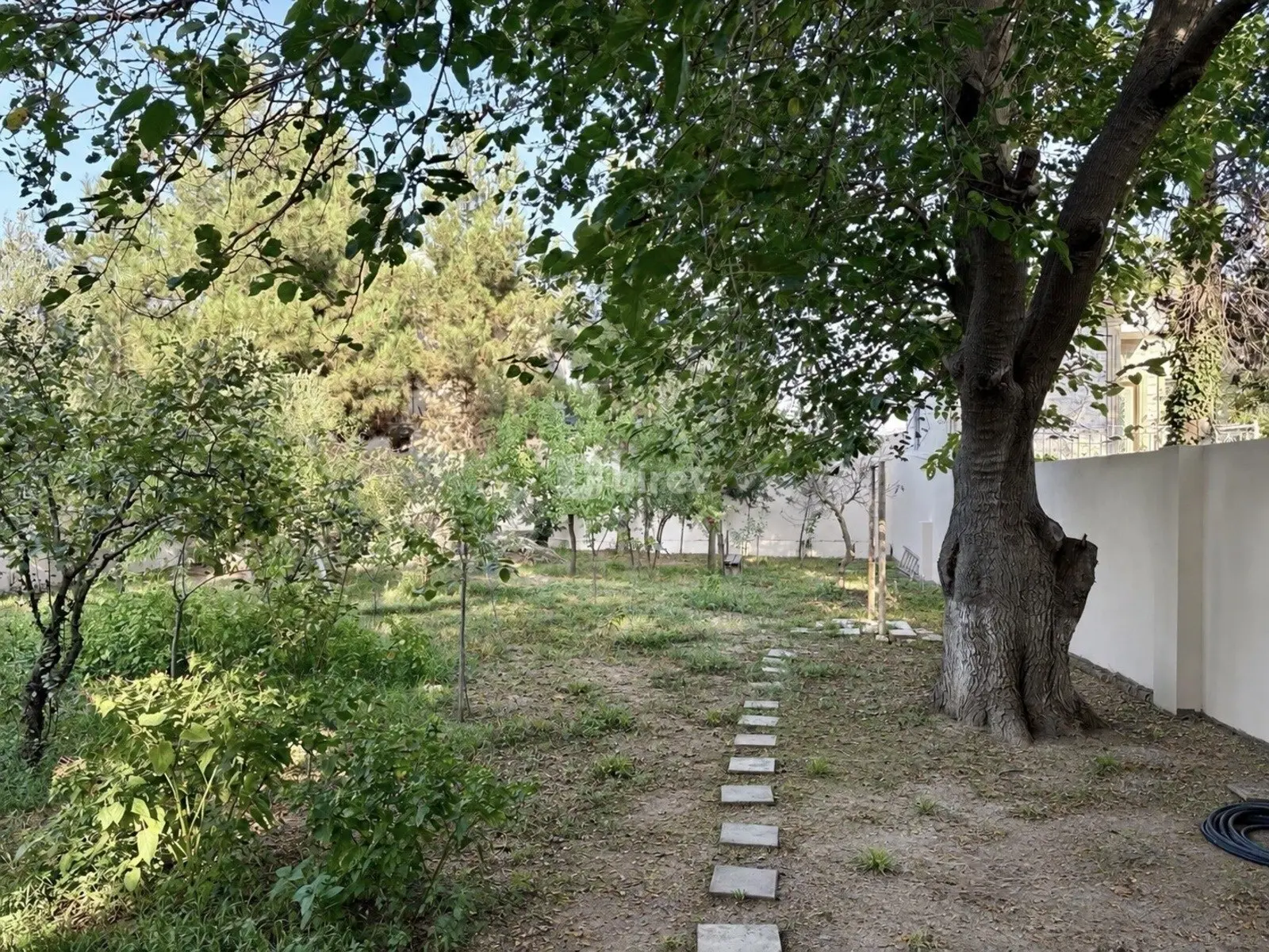 4 otaqlı həyət evi, Novxanı q., Novxanı bağları, Vişnəli dalan, Abşeron rayonu — şəkil 11