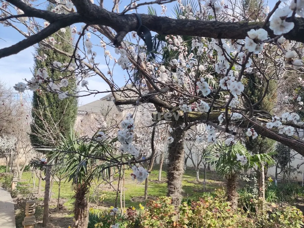 6 otaqlı həyət evi, Novxanı q., Novxanı qəsəbəsi, Abşeron rayonu — şəkil 12