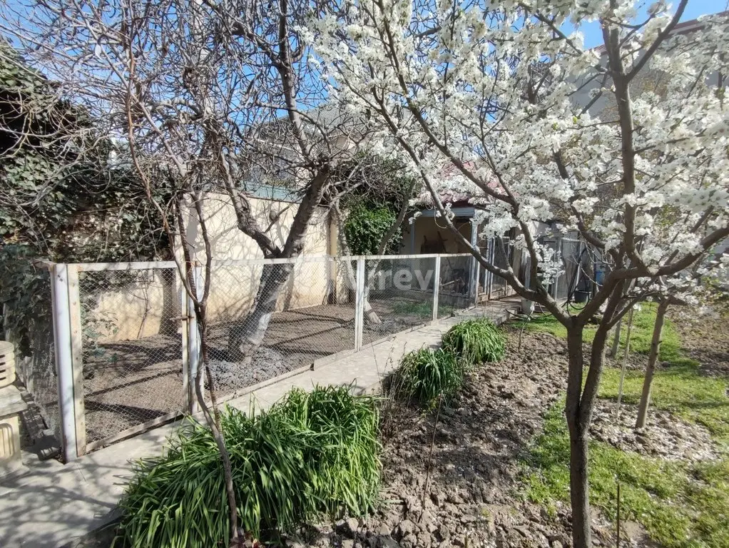 6 otaqlı həyət evi, Novxanı q., Novxanı qəsəbəsi, Abşeron rayonu — şəkil 13
