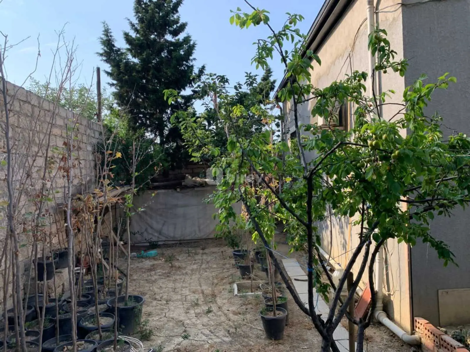 3 otaqlı həyət evi, Nizami rayonu, Elşən Süleymanov 160, Bakı şəhəri — şəkil 9