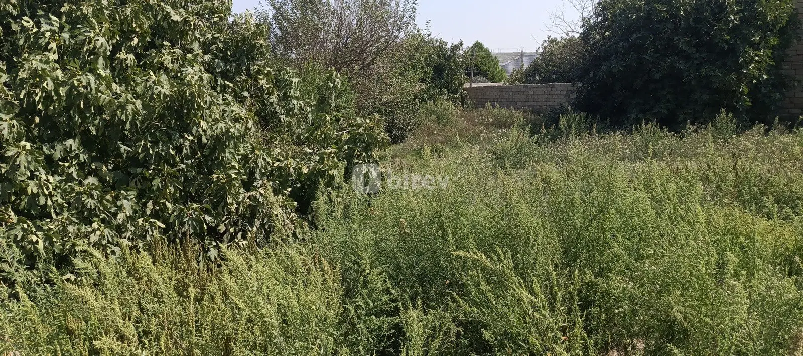 3 sot torpaq, Digah q., Digah qəəbəsi. Vaqif küçəsi, Abşeron rayonu — şəkil 2