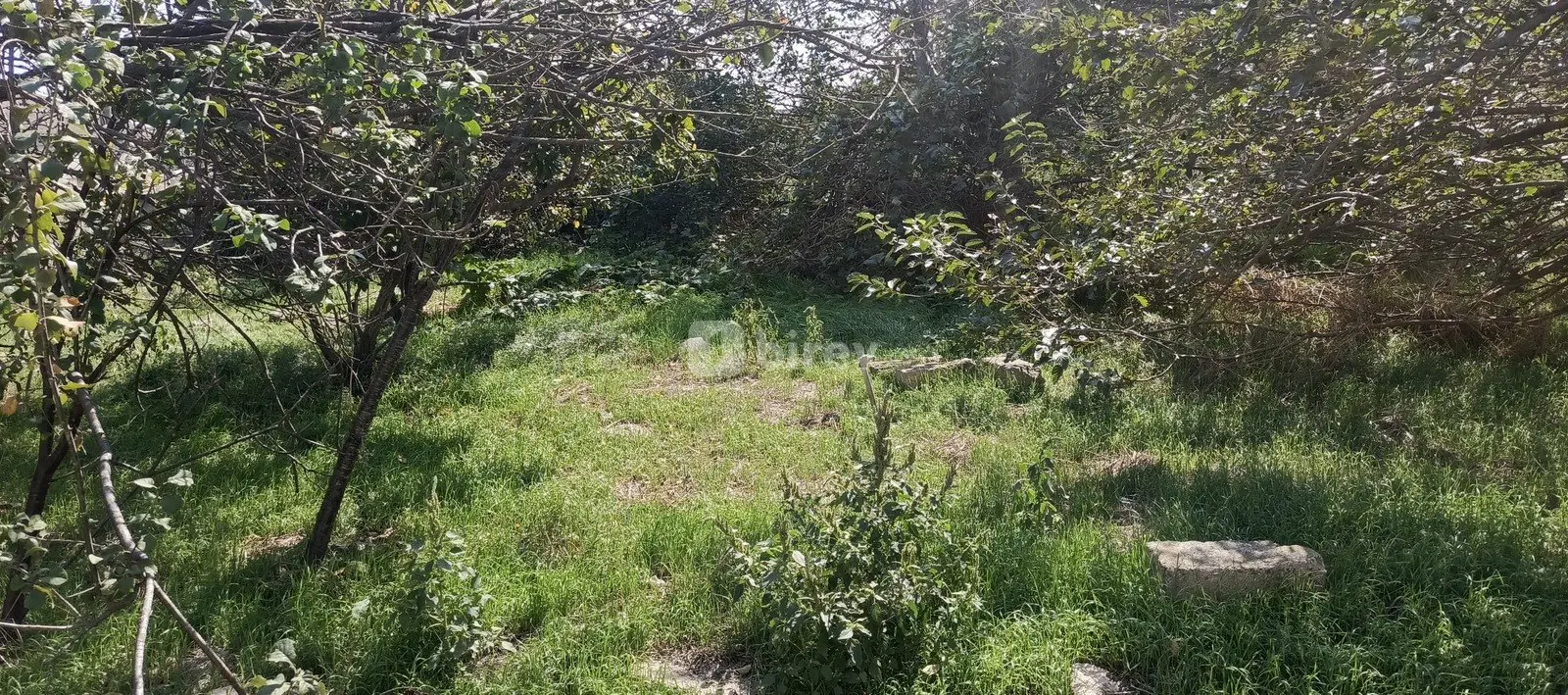 3 sot torpaq, Digah q., Digah qəəbəsi. Vaqif küçəsi, Abşeron rayonu — şəkil 3
