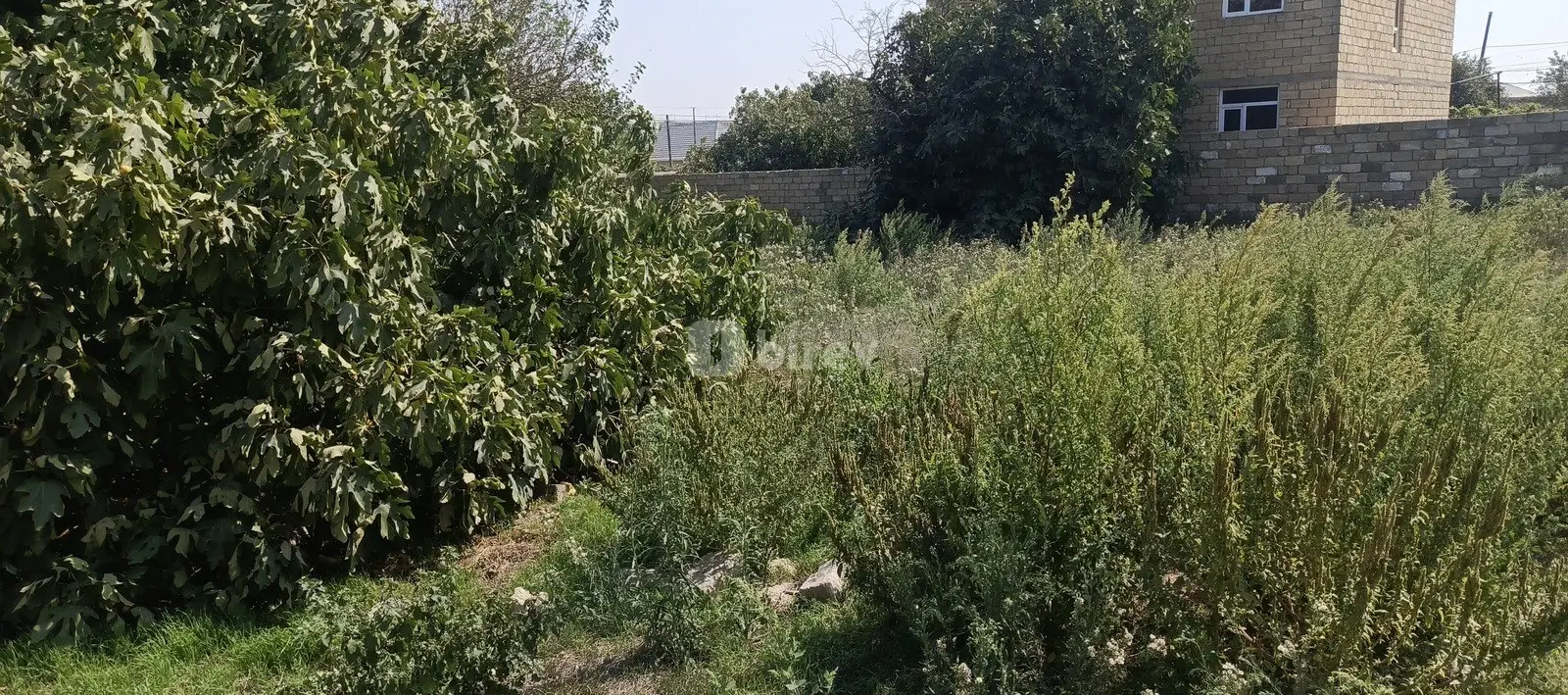 3 sot torpaq, Digah q., Digah qəəbəsi. Vaqif küçəsi, Abşeron rayonu — şəkil 5