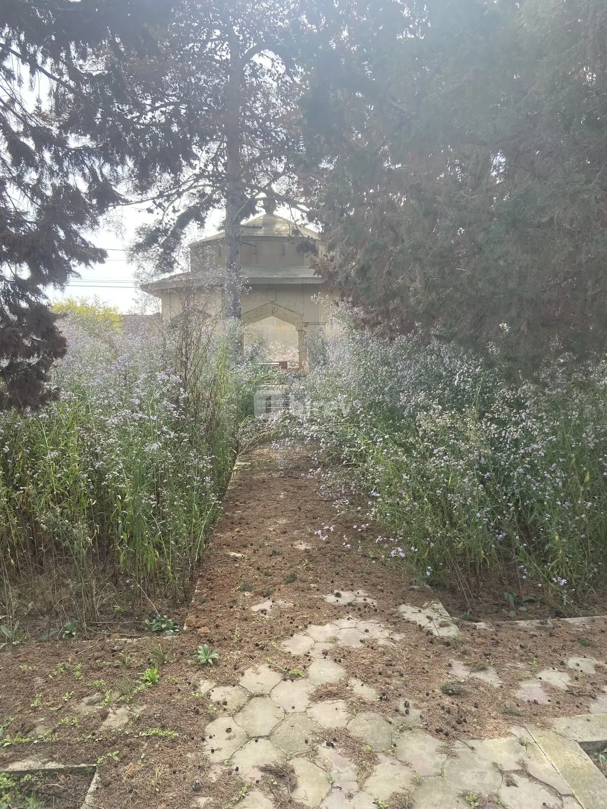 9 sot torpaq, Mərdəkan q., Mərdəkan qəsəbəsi, Xəzər rayonu — şəkil 1