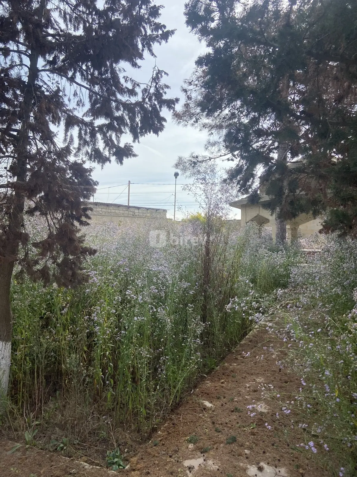 9 sot torpaq, Mərdəkan q., Mərdəkan qəsəbəsi, Xəzər rayonu — şəkil 3