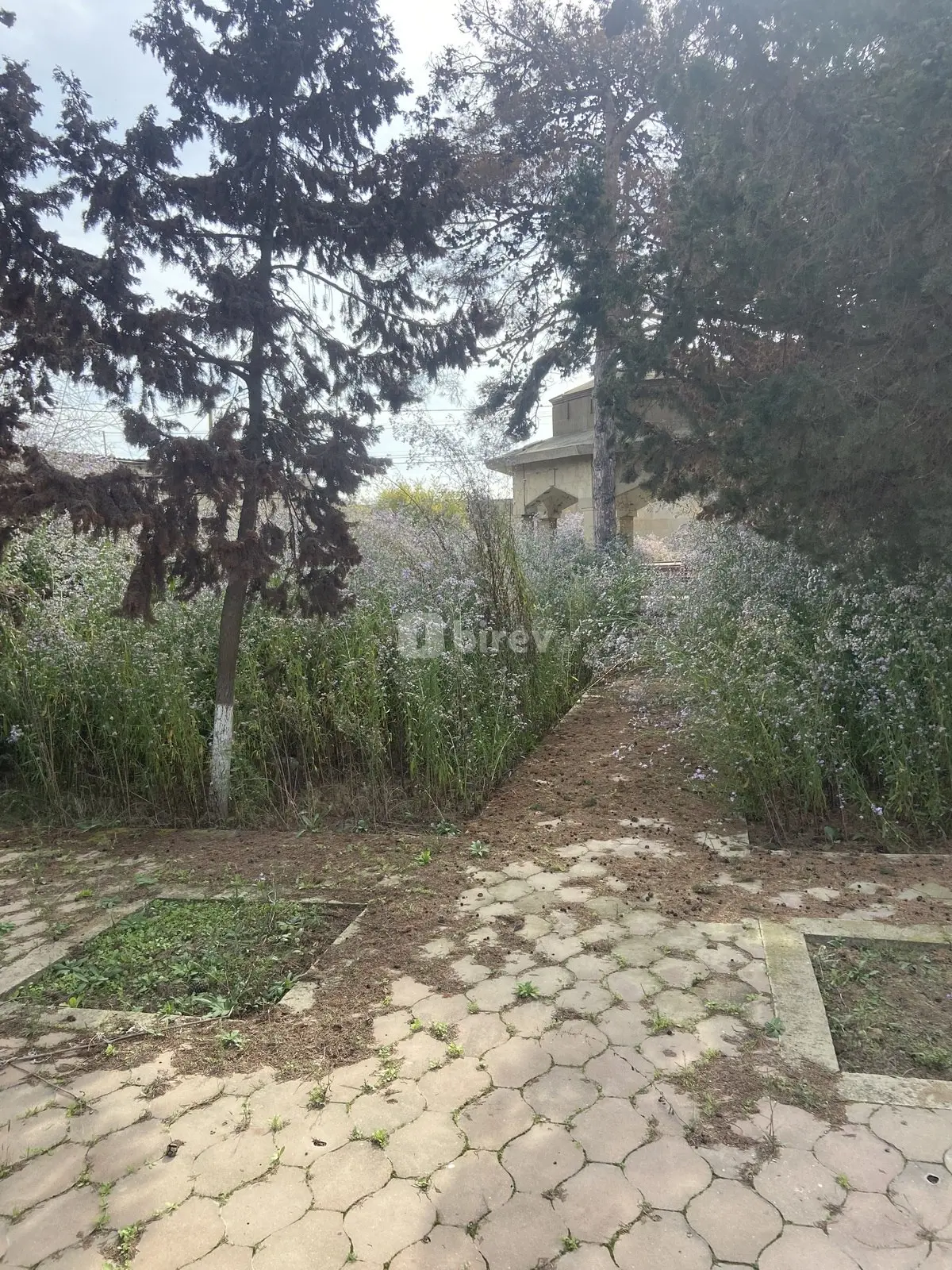 9 sot torpaq, Mərdəkan q., Mərdəkan qəsəbəsi, Xəzər rayonu — şəkil 4
